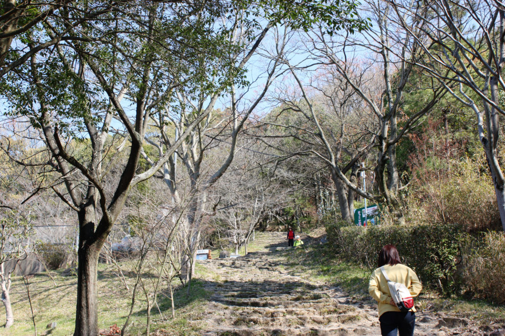 讃岐富士登山