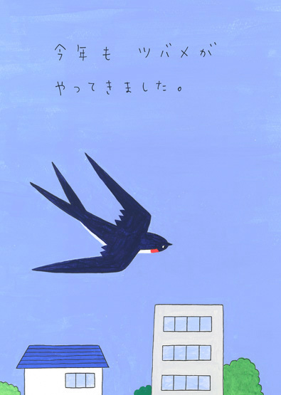 今年も来たツバメ